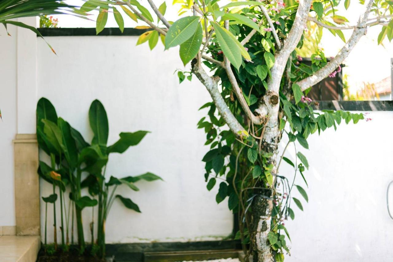 Adi Guest House Canggu Zewnętrze zdjęcie