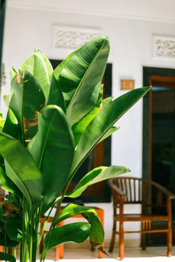 Adi Guest House Canggu Zewnętrze zdjęcie