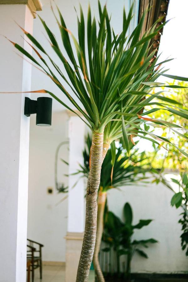 Adi Guest House Canggu Zewnętrze zdjęcie