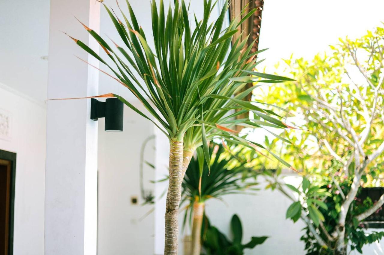 Adi Guest House Canggu Zewnętrze zdjęcie