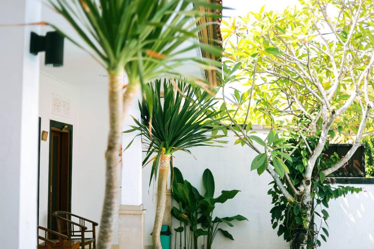 Adi Guest House Canggu Zewnętrze zdjęcie